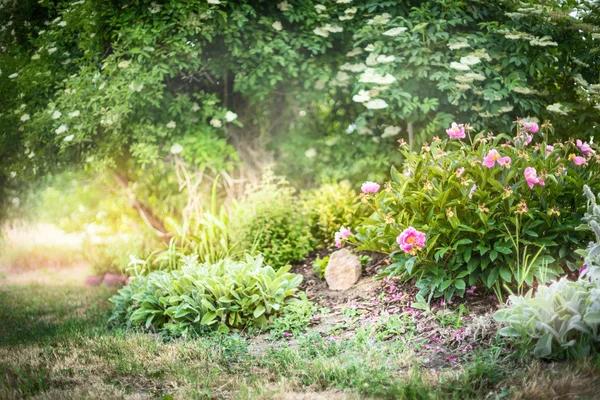 Fertilizing Your Garden: Why It Matters