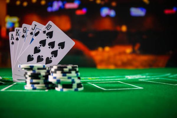 Live Dealer Features Available on casino truc tuyen Platforms
